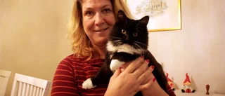 Susannes lilla Olle är Årets lussekatt