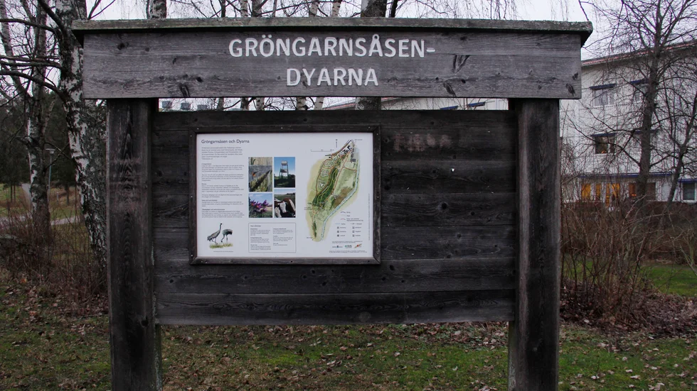 Skyltningen av natur- och rekreationsområdet Gröngarnsåsen-Dyarna har förbättrats genom åren och nu kommer sannolikt ett kommunalt naturreservat att bildas där.