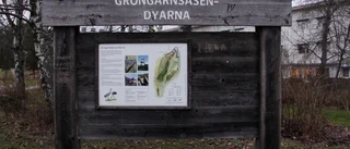 Gröngarnåsen-Dyarna kan bli naturreservat