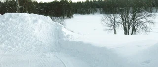 Kommunen planerar nya exklusiva villatomter