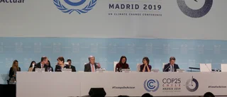 Jämställdhet avgörande för att lösa klimatet