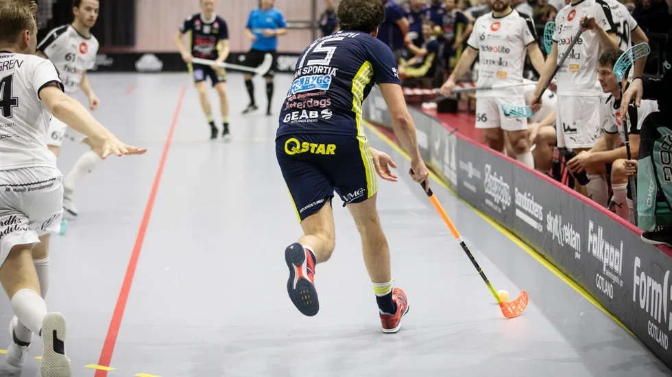 Ingen varg i sikte. Ej heller några vargspår som kan tala om var de tidigare två vargarna i Piteå och Boden tagit vägen.