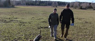 Viltskadorna slår hårt mot Maria och Fredrik