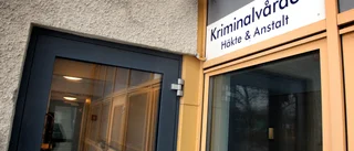 Man häktad för våldtäkt på södra Gotland