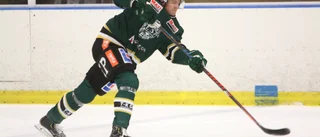 Så spelar ESK Hockey i vårserien