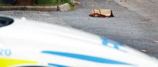 Enda skolan som fick EU-diplom