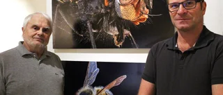 Nu ställer klubben ut på museet