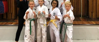 Tolv medaljer till Eskilstunaklubb
