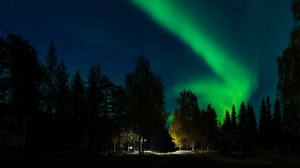 Bilder från fredagens norrsken i Pajala kommun.