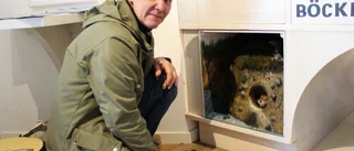Landskapsdjuret finns nu på naturum