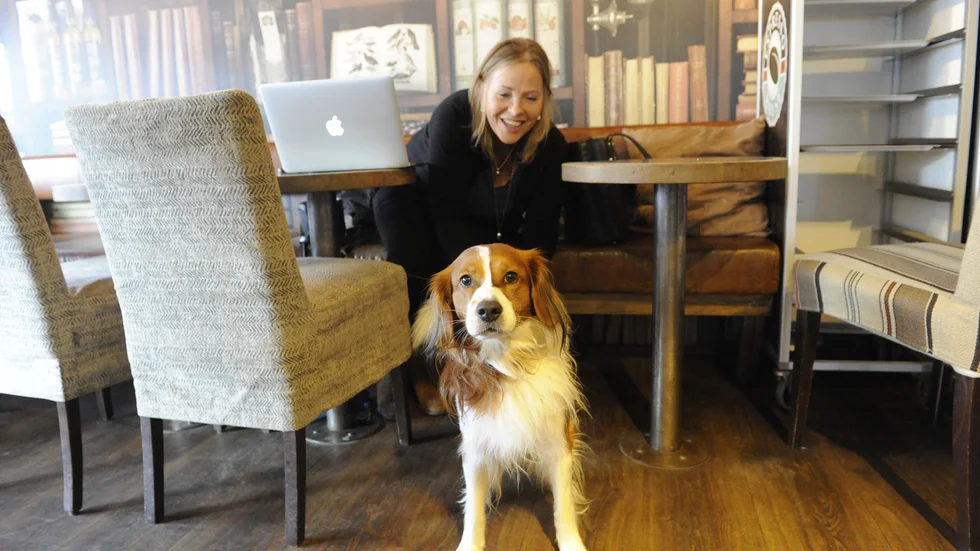 Anette Högberg brukar passa på att sitta och jobba på fik. Ofta tar hon med sig hunden Ymer, om han får följa med in. Ymer är av rasen kooiker, som är en holländsk gårdshund.