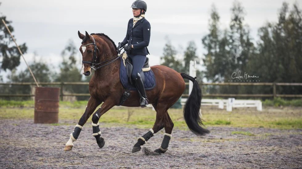 Indio är det framtidslöfte som Astrid Hedman rider. 