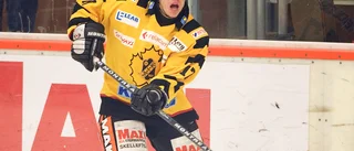 Marklund: ”AIK:s tränarval – en oväntad, vågad och spännande lösning”