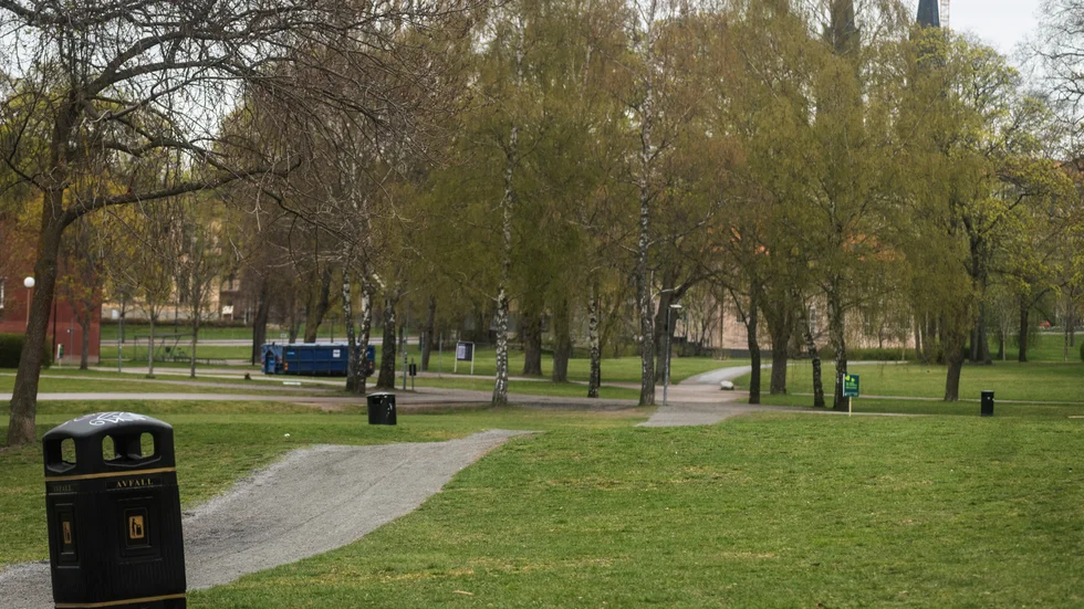 Vi måste bevara träd och gröna ytor för miljön och klimatets skull, skriver Staffan Bohlin.