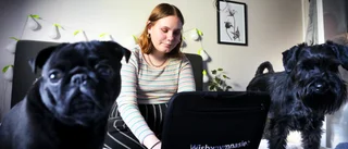 Plugga hemma: "Det funkar ju" 