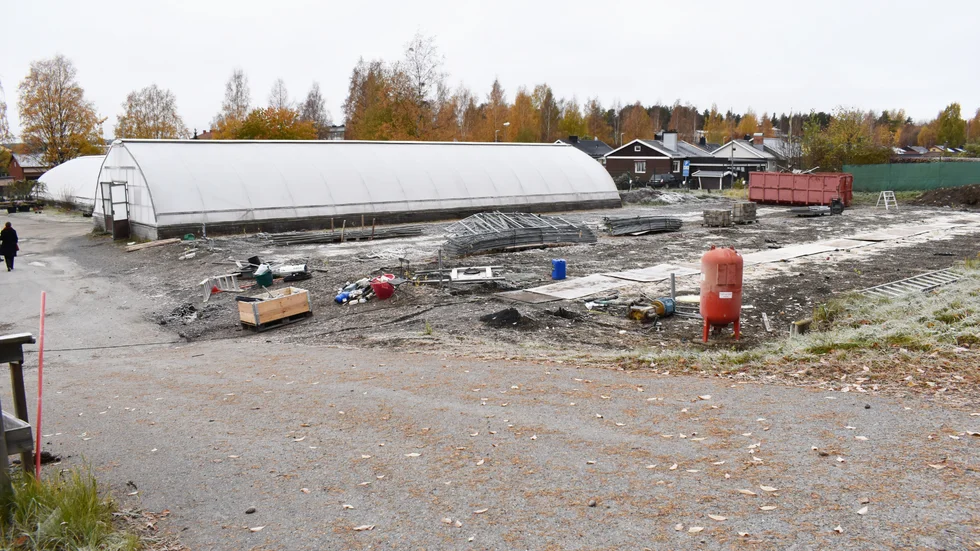 Så här såg det ut i höstas när samhällsbyggnad hade börjat montera ner sina växthus. 