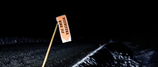 Många viltolyckor i inlandet