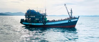 Över 30 rohingyer döda på drivande båt