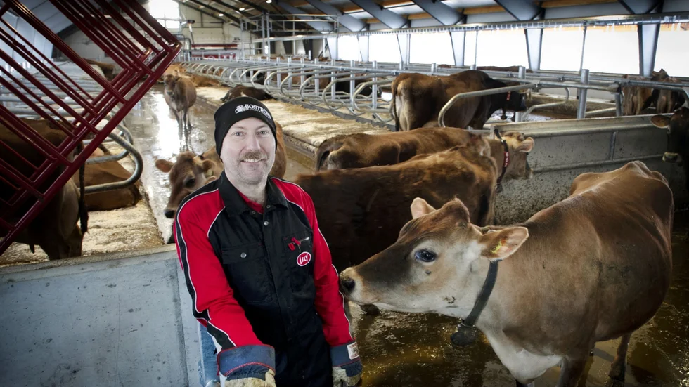 Efter branden har Patrik Ögren byggt en helt ny ladugård. Den röda buren som syns på bild är en station där korna får kraftfoder. Den känner av vilken ko som går in. Buren stängs sedan så att kon får äta i fred utan att störas av de andra.