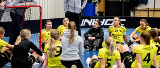 Kaif förlorade säsongens sista hemmamatch – men fortsätter i allsvenskan: ”Vi har träffat vårt mål”