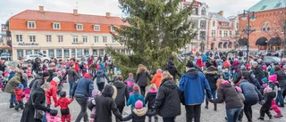 Nu börjar julgransjakten • Kommunen ber om hjälp: "Har du en vacker gran på din tomt?"