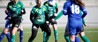 Målfyrverkeri i Västerås för ESK