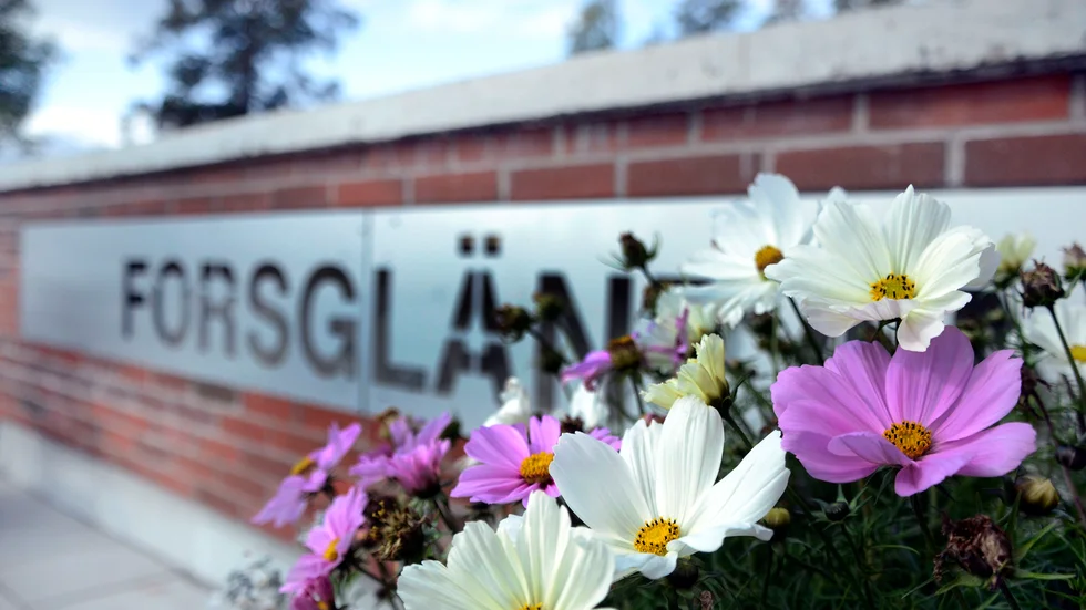 I maj kom domen som säger att Gällivare kommun ska betala en sanktionsavgift på 900 000 kronor för att personal haft för många övertidstimmar. Nu larmar enhetscheferna om en ohållbar arbetsmiljö.