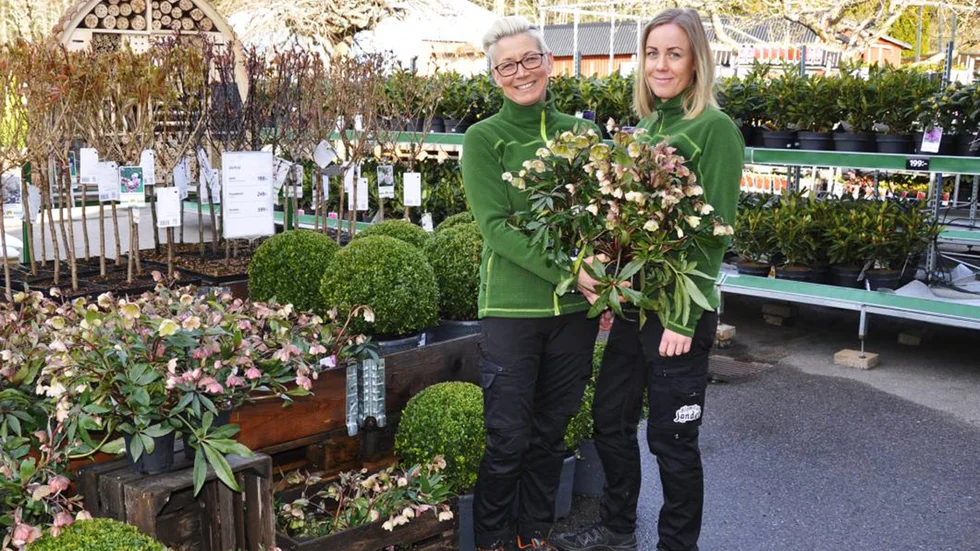 Du möter trädgårdsmästarna Jessica Pettersson och Paula Bladh i Blomsterlandets Uppsalabutiker.