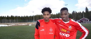 Talangerna från Jokkmokk och Gällivare vill uppåt