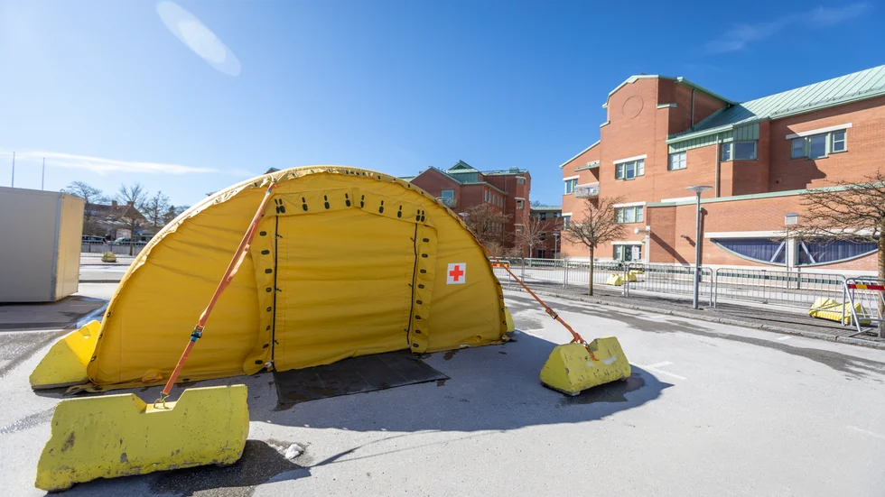 Coronatält? Flockimmunitet? Droppsmitta? Kan du dina virusord?