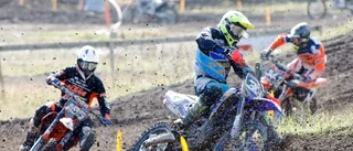 Beskedet: All motorsport ställs in