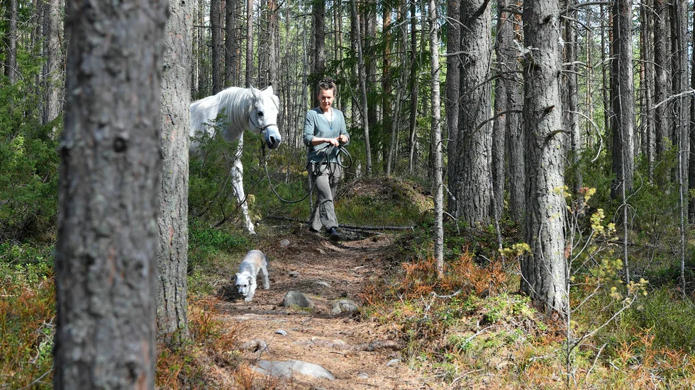 I början av juni så började Anna-Klara Granstrand jobba heltid med en förstudie om ridleder i Skellefteå kommun. ”Jag hoppas att vi ska kunna samordna även de leder som finns redan nu”, berättar Anna-Klara.