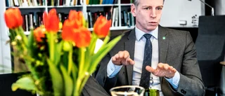Miljöpartiet om attacker från höger: "En strategi för att försvaga den rödgröna sidan"
