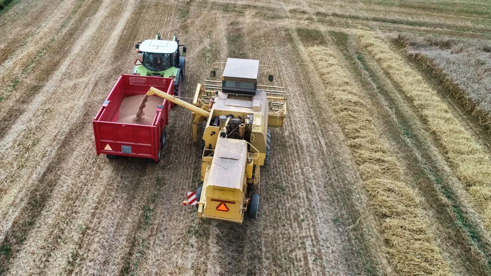"EU kan minska sitt beroende av import av kraftfoder genom att odla mer soja och andra proteinrika baljväxter samt framställa mikrobiellt protein samt tång- och algprotein för humankonsumtion", skriver insändarskribenterna.