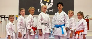 Diger medaljskörd för Karate Dojo