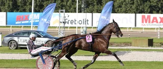 Policy of Truth femma i sin comeback