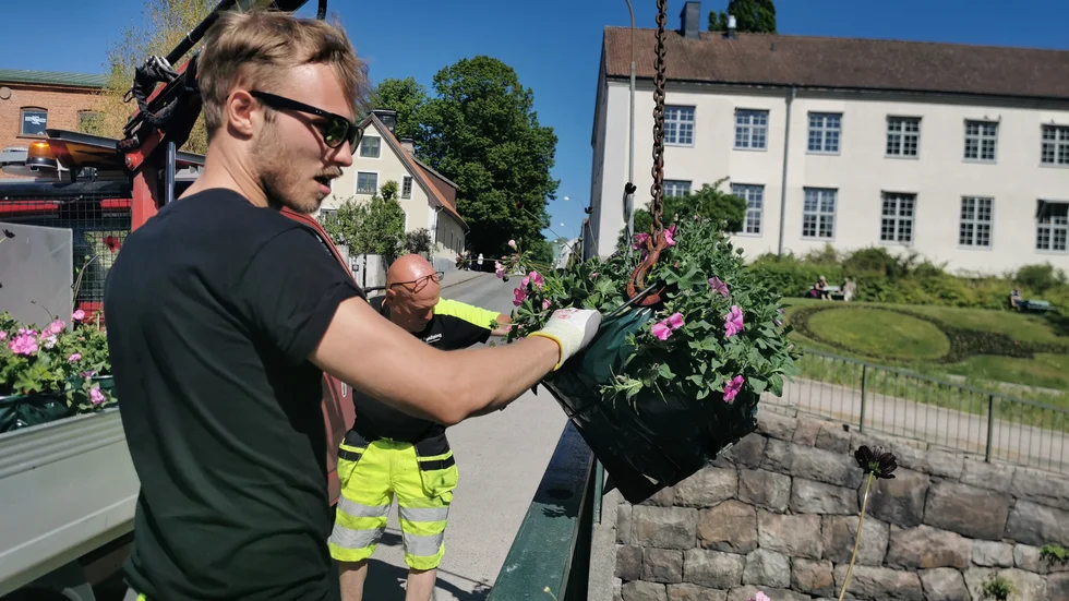 Emil Larsson älskar att jobba med blommor.