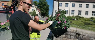 Thomas sätter färg på broräckena: "jag älskar blommor!"