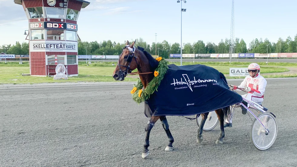 Per Linderoth har kransats tidigare under Skellefteås midsommartrav. På bilden segerdefilerar han med Petri Salmela tränade Kaplan efter att tagit hem Midsommarkransen för ett par år sedan.