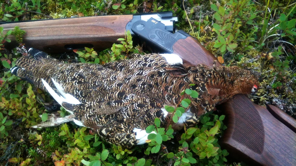 Delar har skickats på granskning i expertgruppen. Sedan ska parlamentarikerna ta ställning till det slutliga förslaget.
