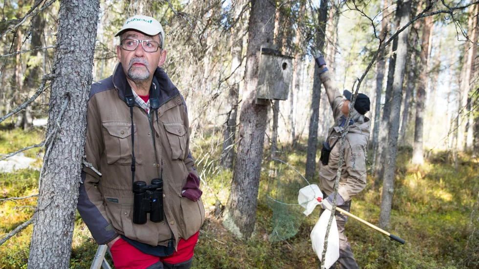 Jan Andersson vill låta rödlista pärlugglan. "Förr trodde man att det fanns två miljoner pärlugglor bara i Sverige, men det har minskat otroligt mycket under de senaste åren. Jag är oroad över utvecklingen."