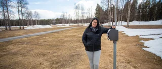 Campingen hoppas på Luleåborna: "Det är såklart ett jättestort tapp för oss"