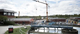 Två fritidshus "glömdes bort" i ansökan för Rosenholm