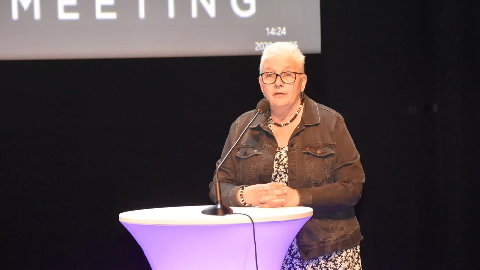 "Piteå och Skellefteå har förberett stora industriområden som är färdiga för etableringar. Vi behöver ha ett stort område som är färdigt för etableringar" sade Anja Johansson (S).
