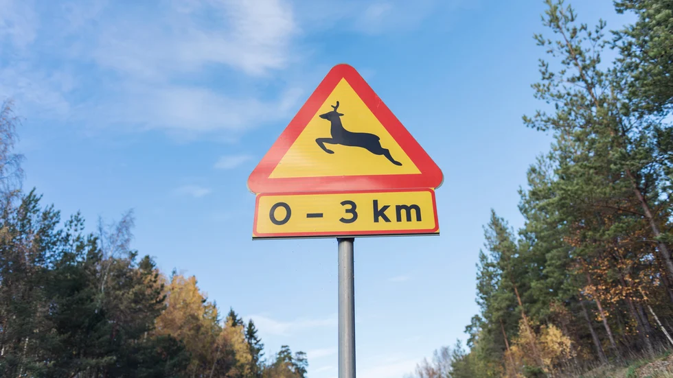 Från och med torsdag klockan 09.00 och 24 timmar framåt inträffade det tre registrerade viltolyckor i Finspångs kommun.