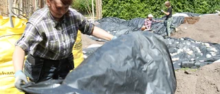 Tomtar och troll flyttar nu in i idéträdgårdarna