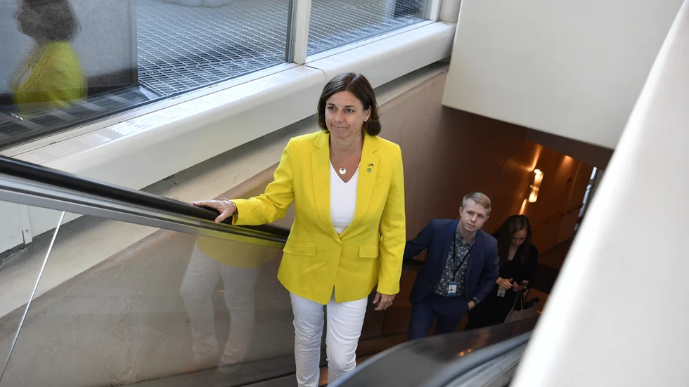 Rullgrappan bär i och för sig Isabella Lövin uppåt i riksdagshuset. Men annars går det mest bakåt för Miljöpartiet. 