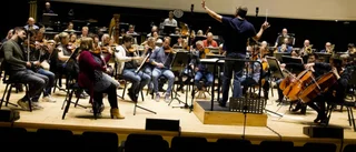 Regionen klubbade ny kulturplan