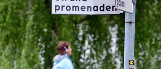 Insändare: Stoppa brobygget – bevara idyllen
