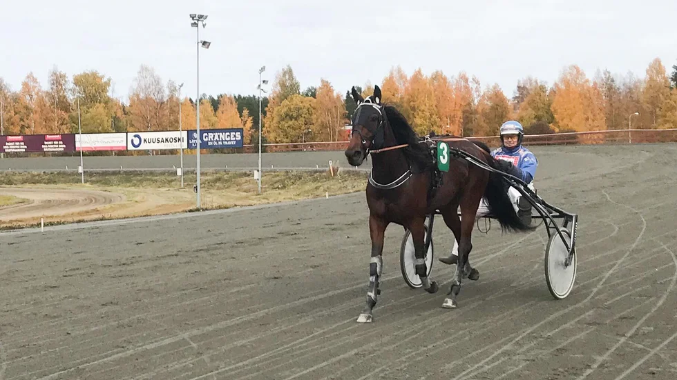 33-oddsaren Kajsa Jonz med John Östman plockade ner hemmahästen Celeste Brodda och vann stoloppet utanför V75.